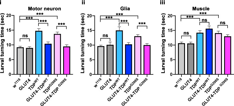 Figure 4—figure supplement 5.