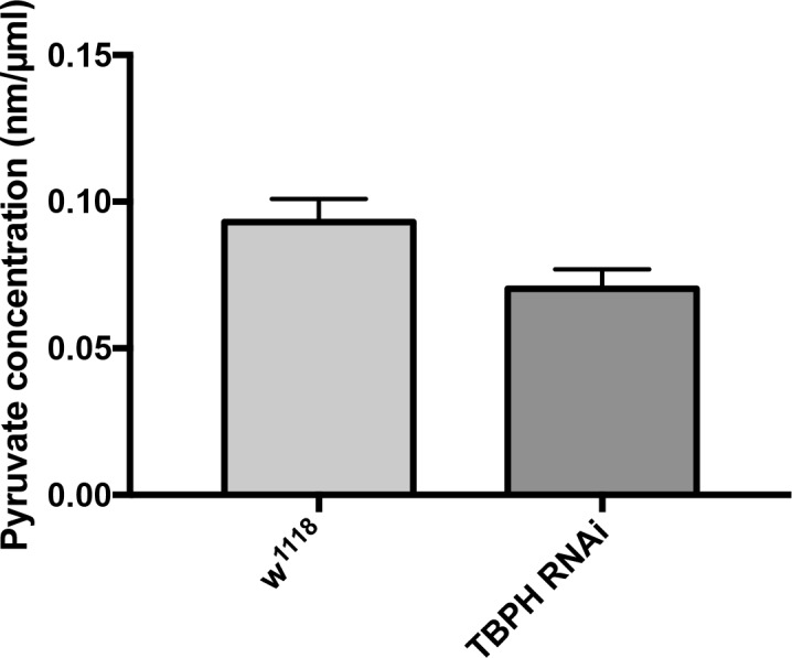 Figure 1—figure supplement 1.