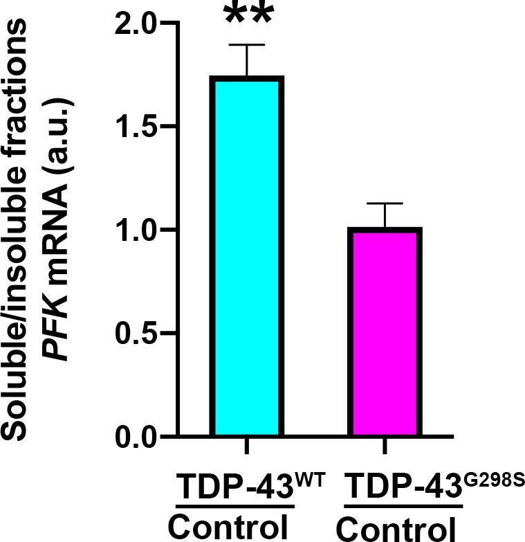 Figure 7—figure supplement 1.