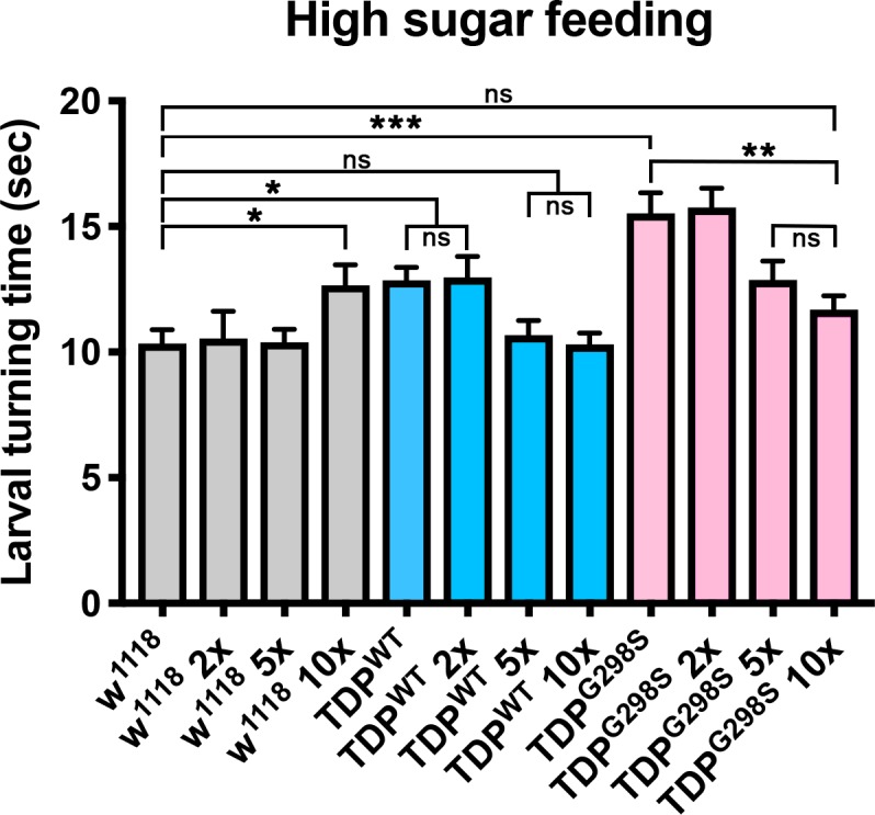 Figure 4—figure supplement 1.