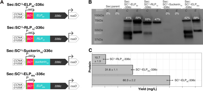 FIG 4