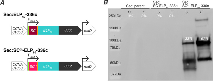 FIG 3