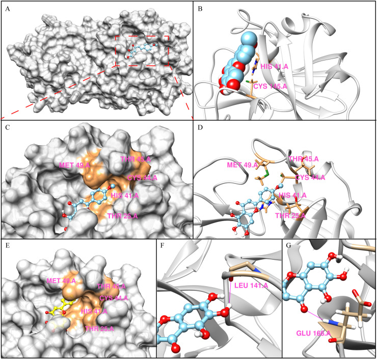 Fig. 3