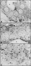 FIG.7.