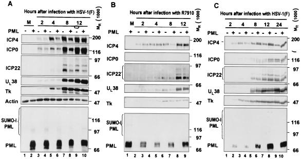 FIG. 8.