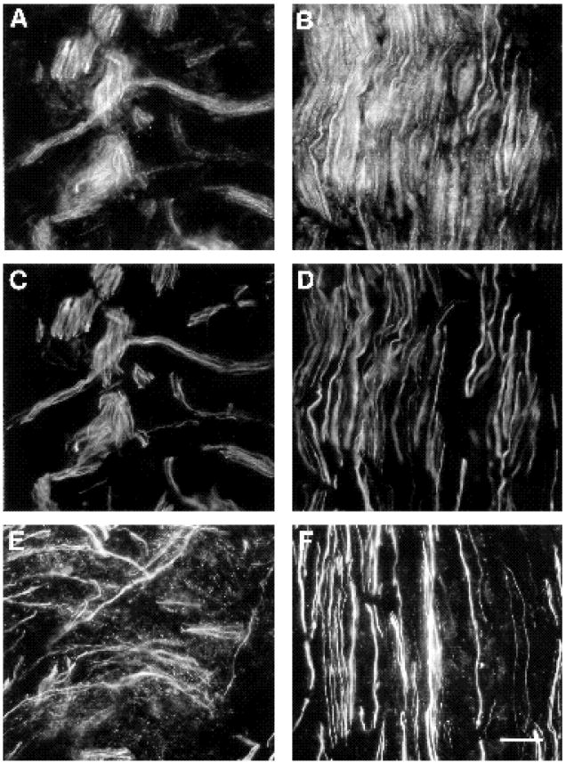 Fig. 11