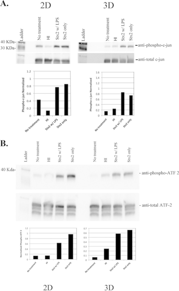 FIG 2