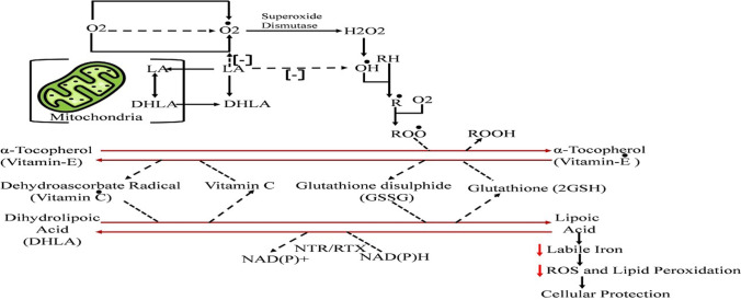 Fig. 2