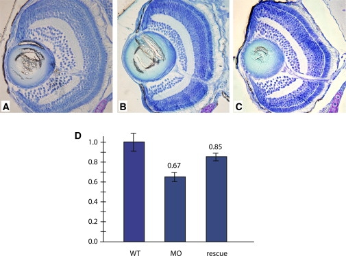 Figure 5