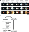 FIG 1