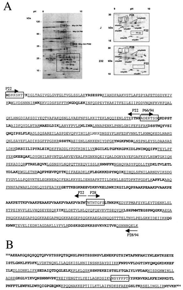 FIG. 2.