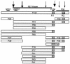 FIG. 7.