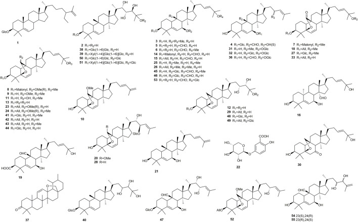 FIGURE 1