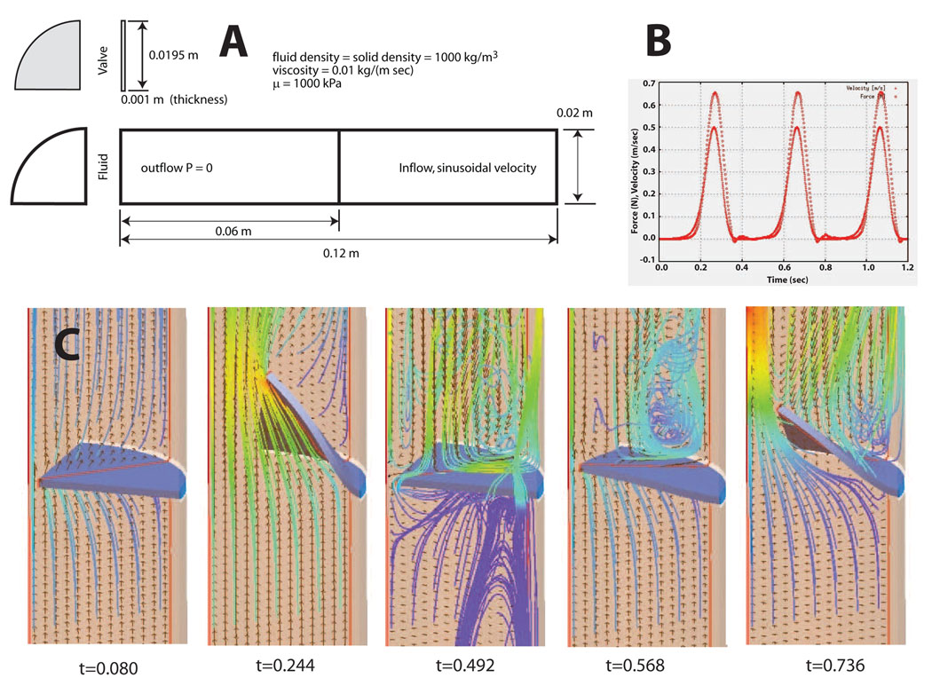 Figure 20