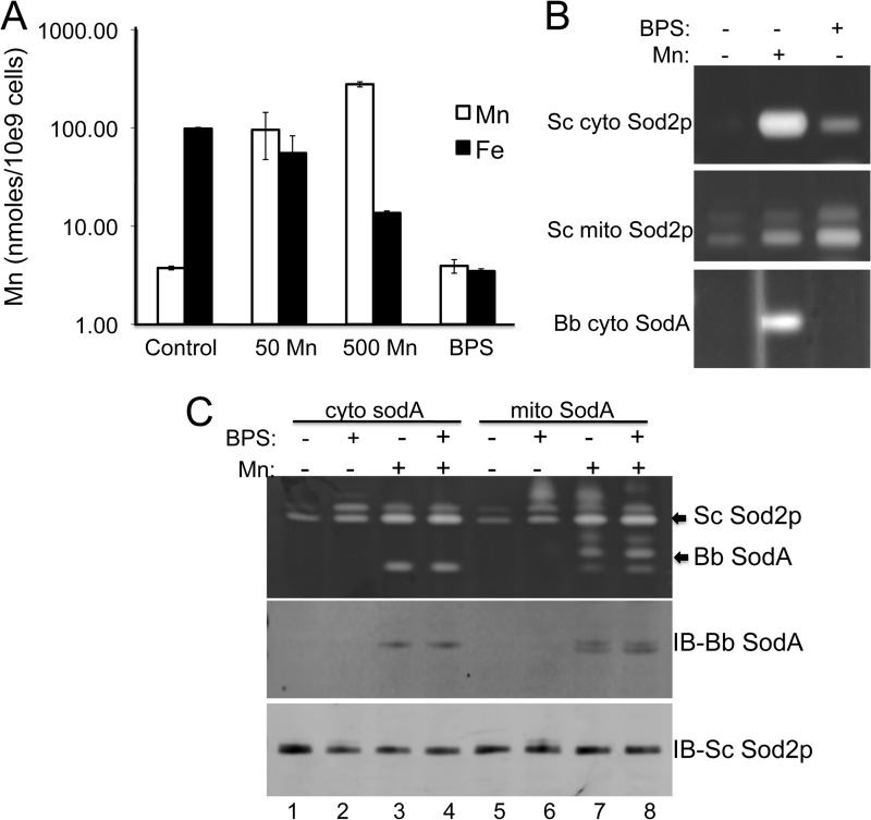 FIGURE 7.