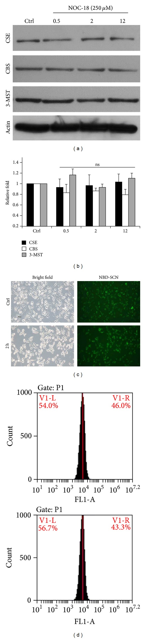 Figure 5