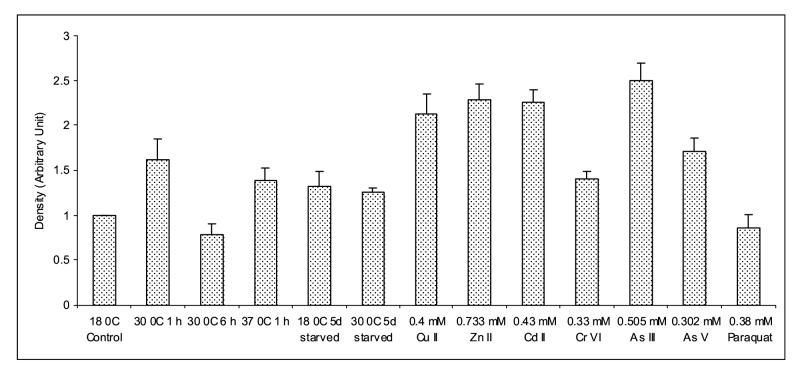 Fig. 10