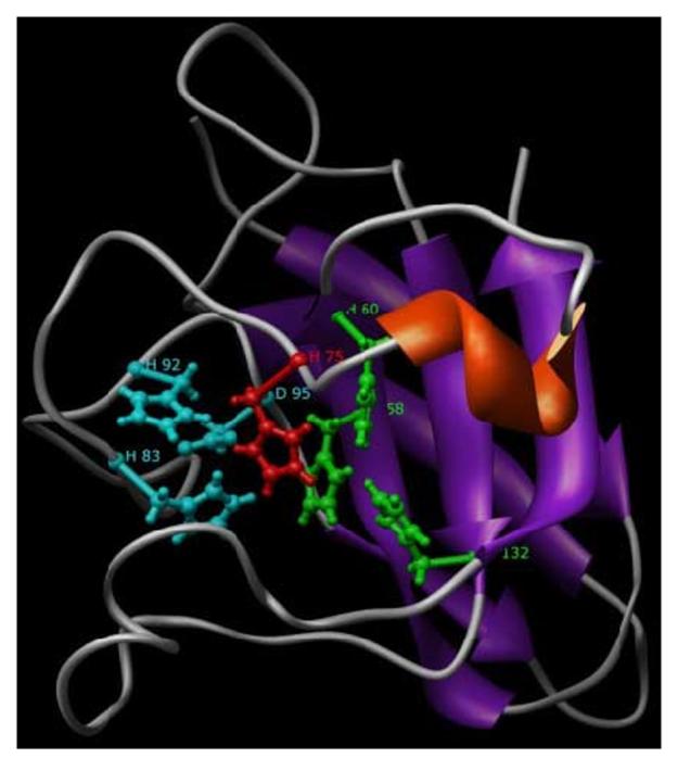 Fig. 6