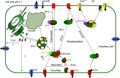 Figure 3.