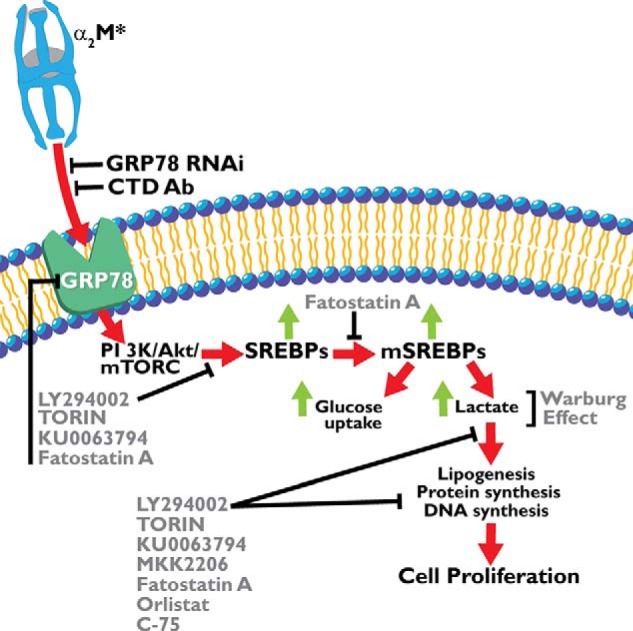 FIGURE 10.