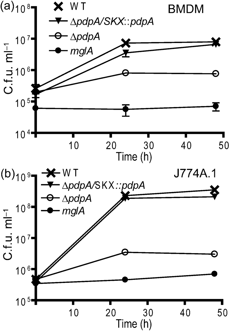 Fig. 1.