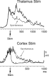 Figure 10.