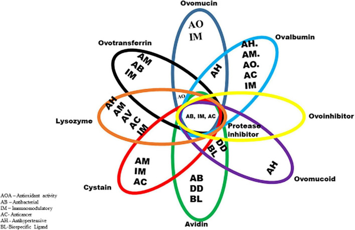 FIGURE 3