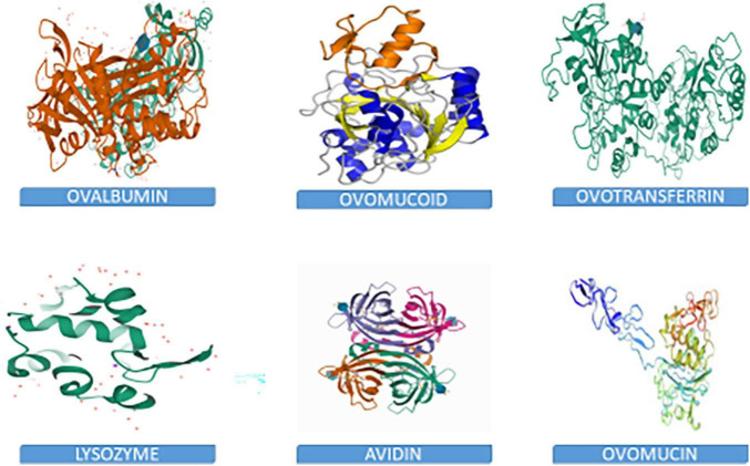 FIGURE 2