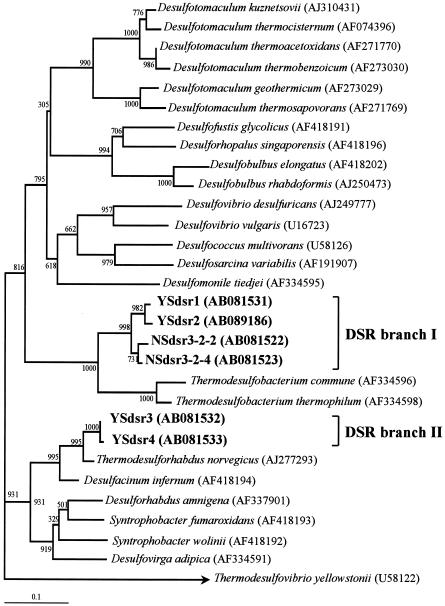 FIG. 6.