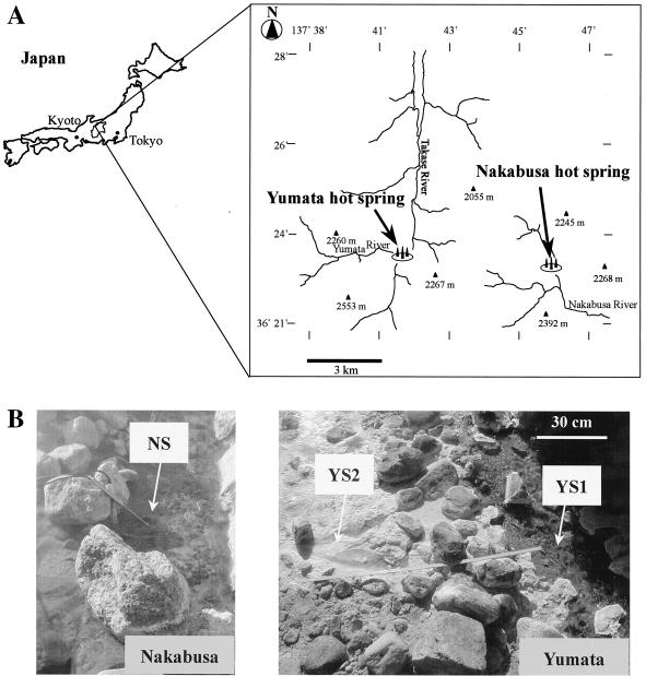 FIG. 1.