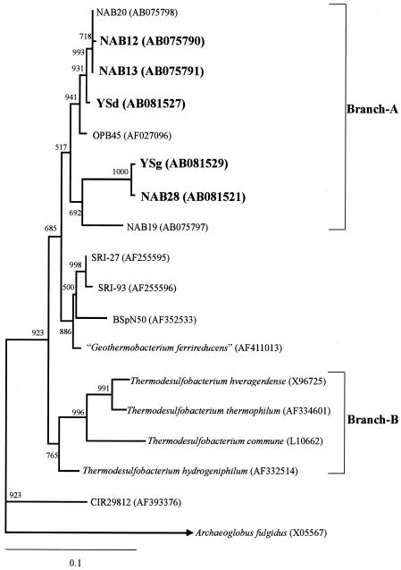 FIG. 5.