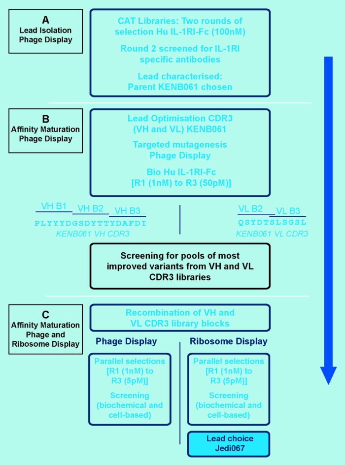 graphic file with name mabs-6-236-g1.jpg