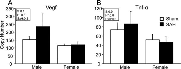 Figure-4