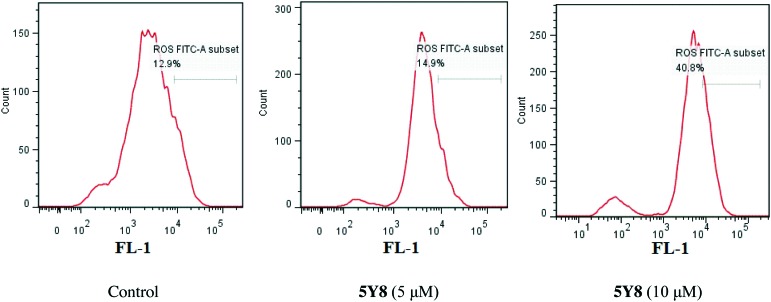 Fig. 7