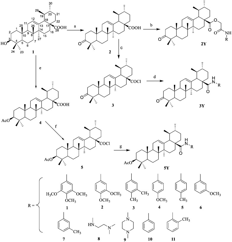 Scheme 1