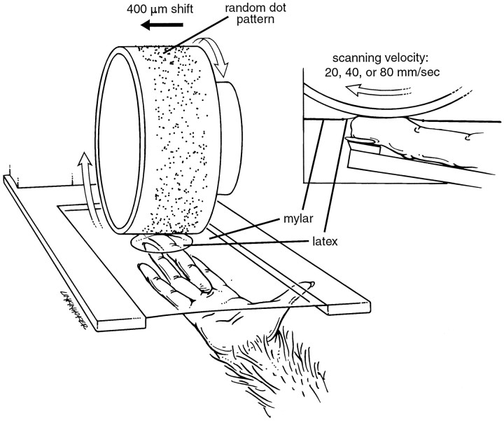 Fig. 1.