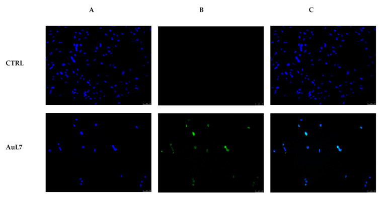 Figure 9