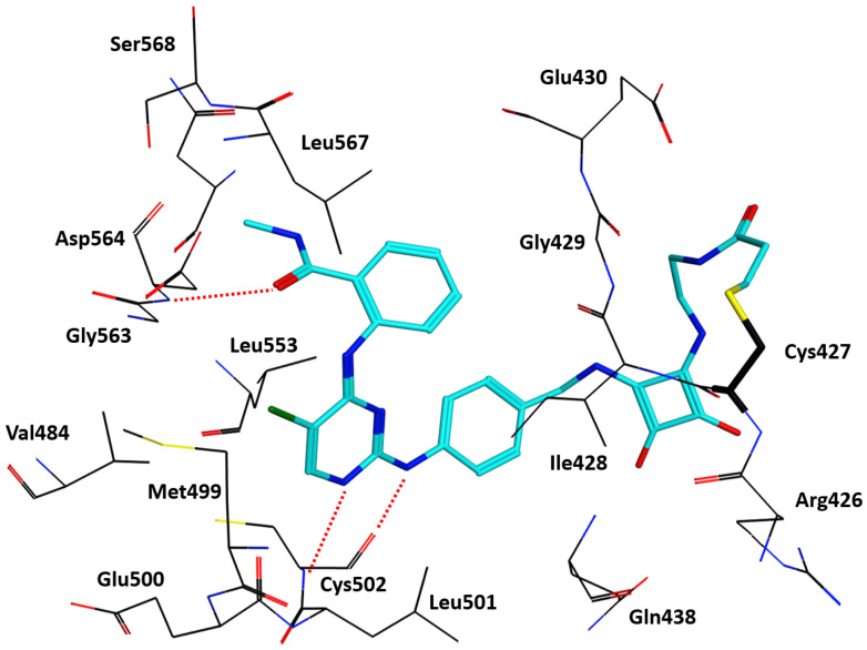 Figure 4