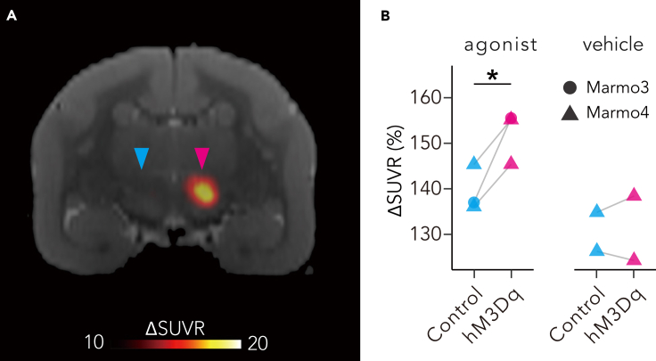 Figure 2