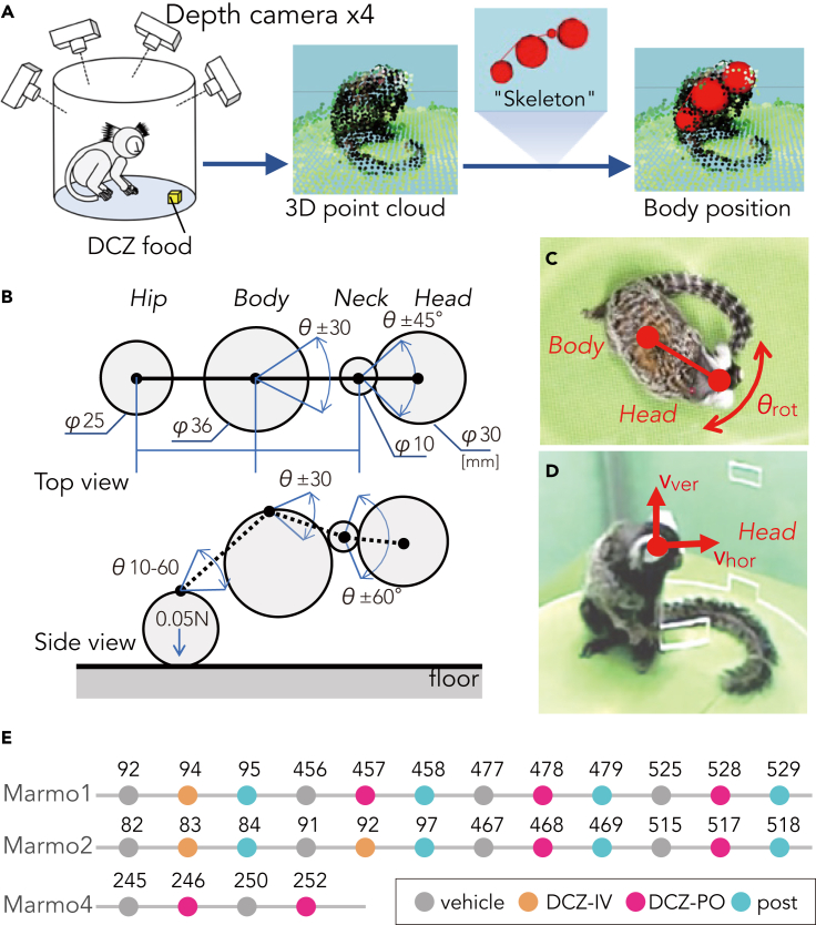 Figure 4