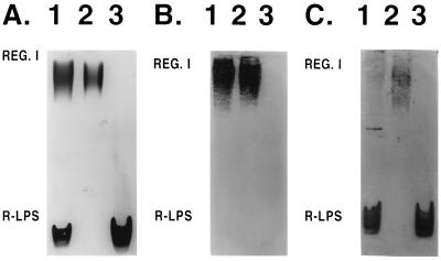 FIG. 7