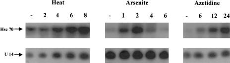 Fig 2.