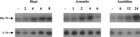 Fig 3.