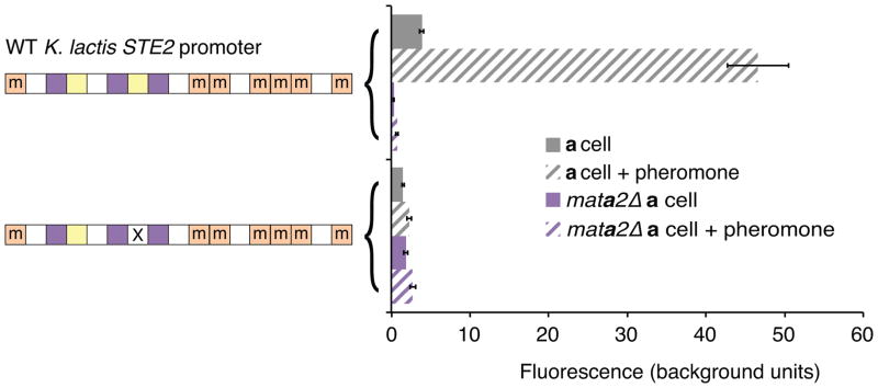 Extended Data Figure 5