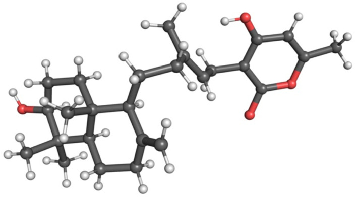 Fig. 2