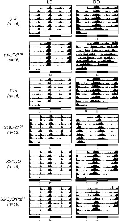 Figure 6.—