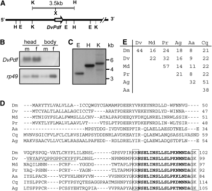 Figure 2.—