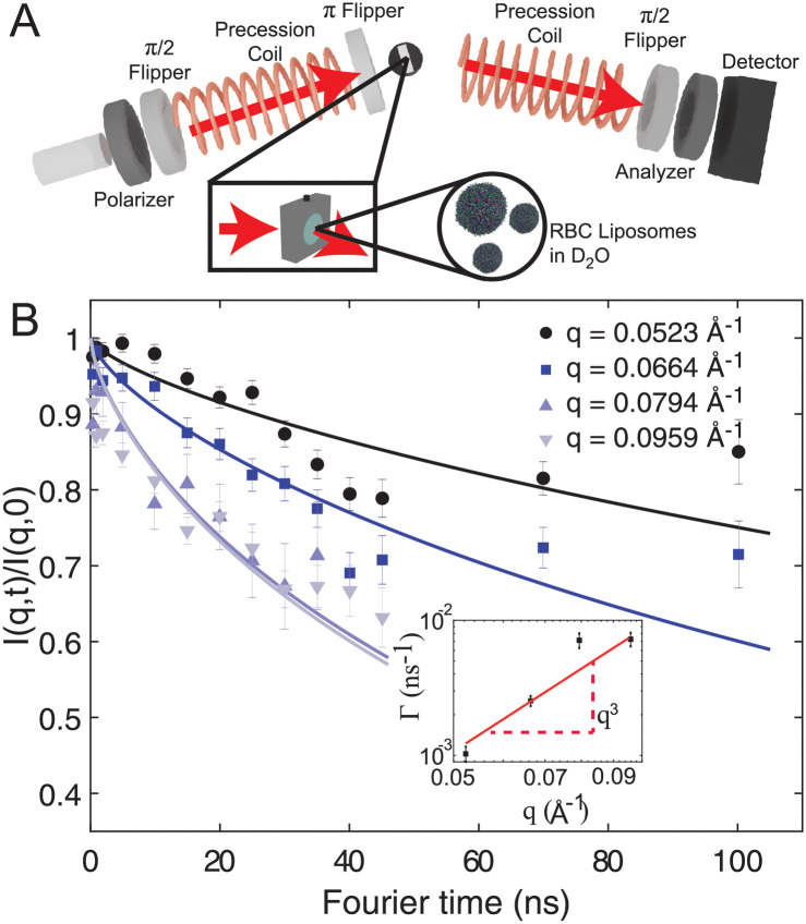 Fig 2