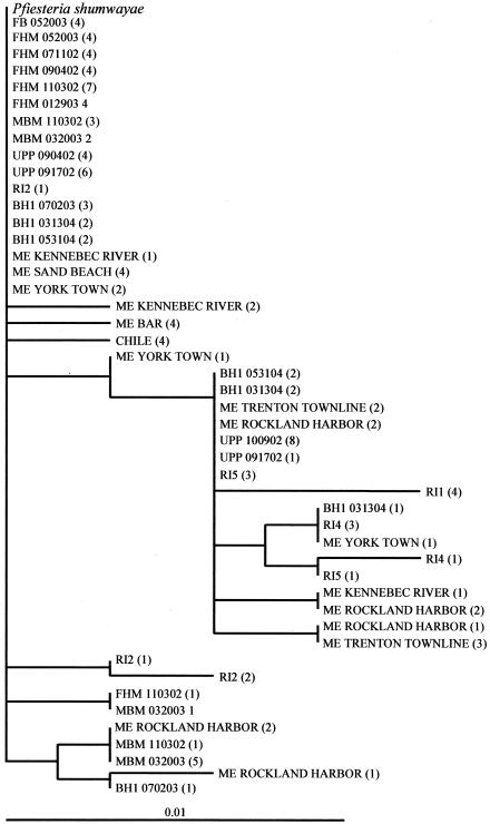 FIG. 7.