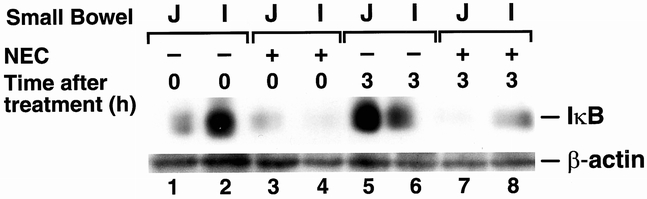 graphic file with name 14FF5.jpg